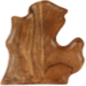 MI State Map Wood Tray